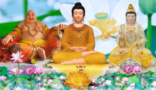 Áp dụng lời Phật dạy khi bị người khác chửi để tâm an yên