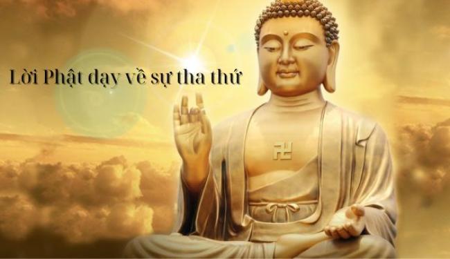 Lời Phật dạy về sự tha thứ để tạo Phúc và chữa lành cho mình