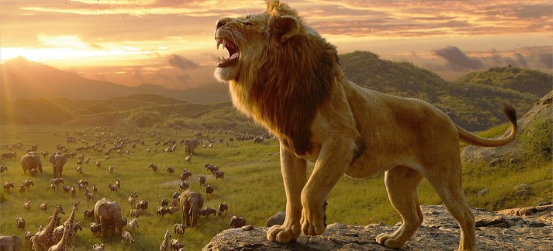 Sư tử mạnh mẽ và tự tin