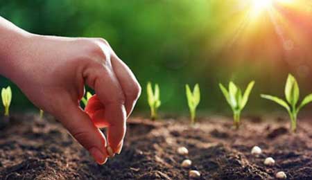 Những câu chuyện về luật nhân quả có thật hay đáng suy ngẫm